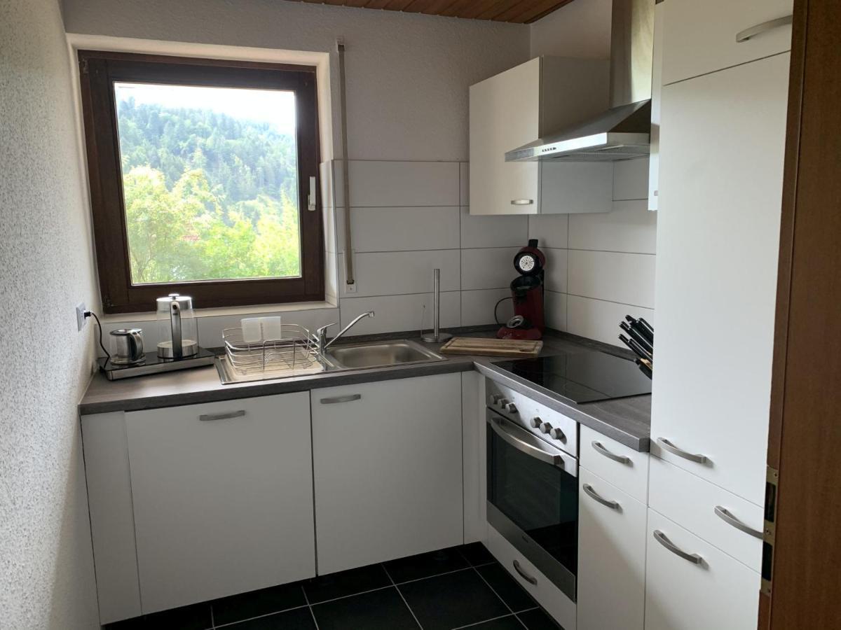 Schlossblickwohnung Schiel ゲルンスバッハ エクステリア 写真
