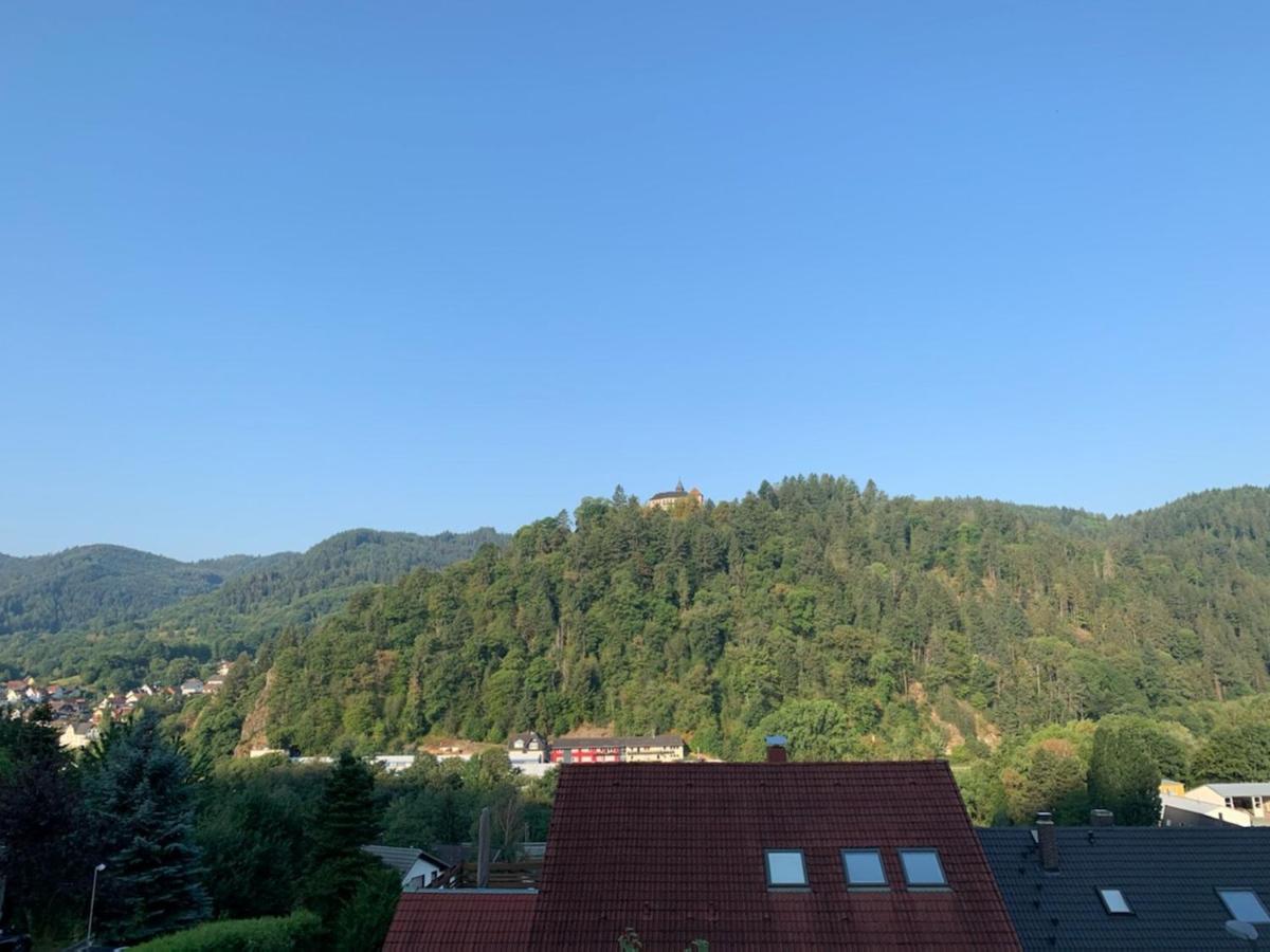Schlossblickwohnung Schiel ゲルンスバッハ エクステリア 写真