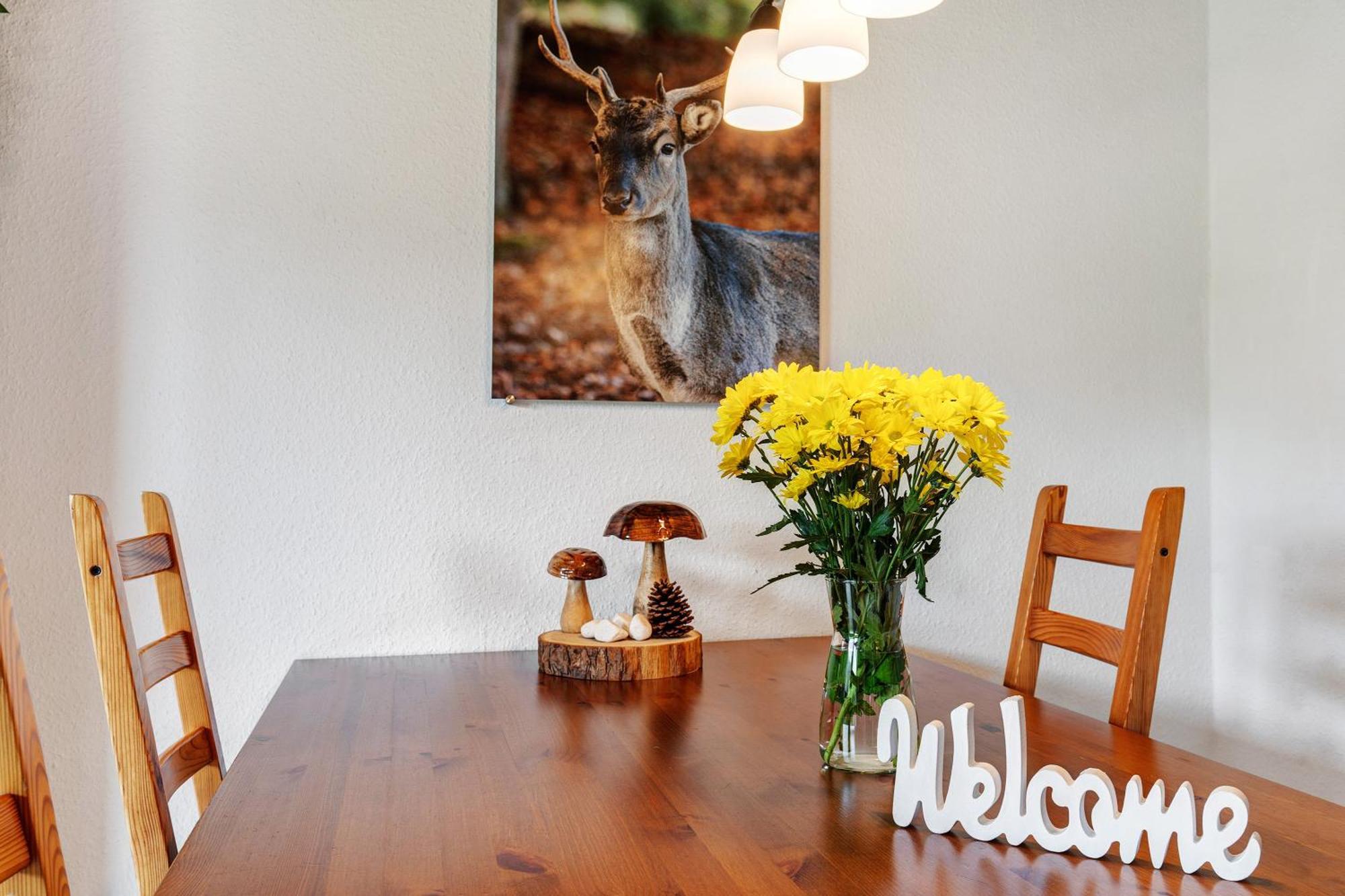 Schlossblickwohnung Schiel ゲルンスバッハ エクステリア 写真